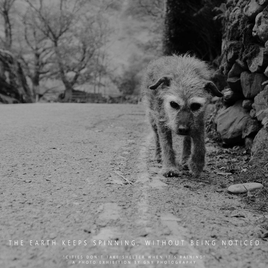 Dark Ambient Album for Psy'Aviah - Inspired by GNY photo material, download now