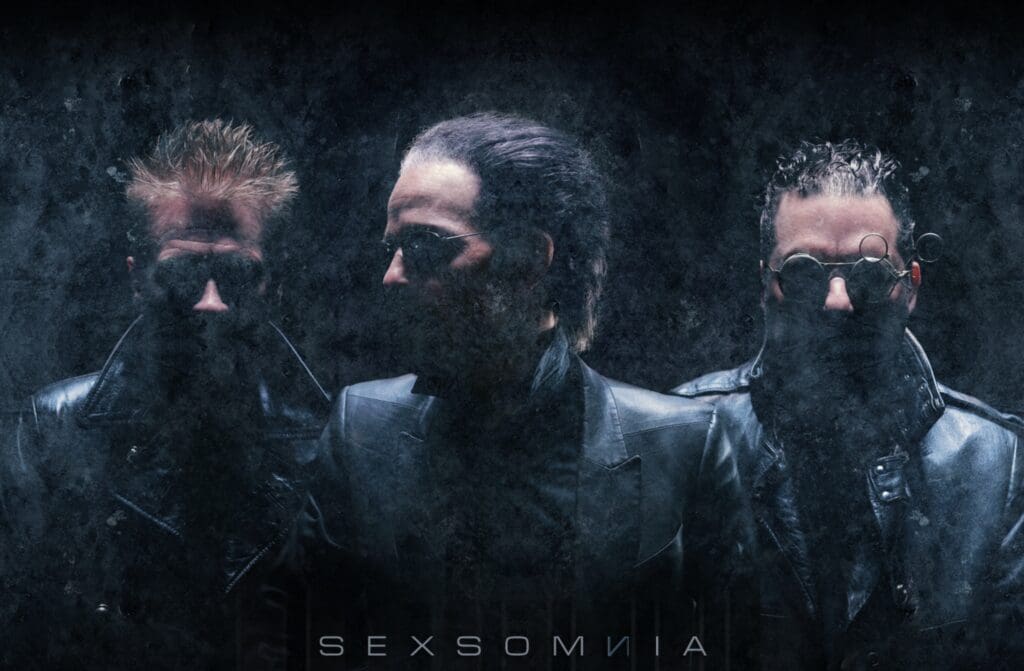 Sexsomnia
