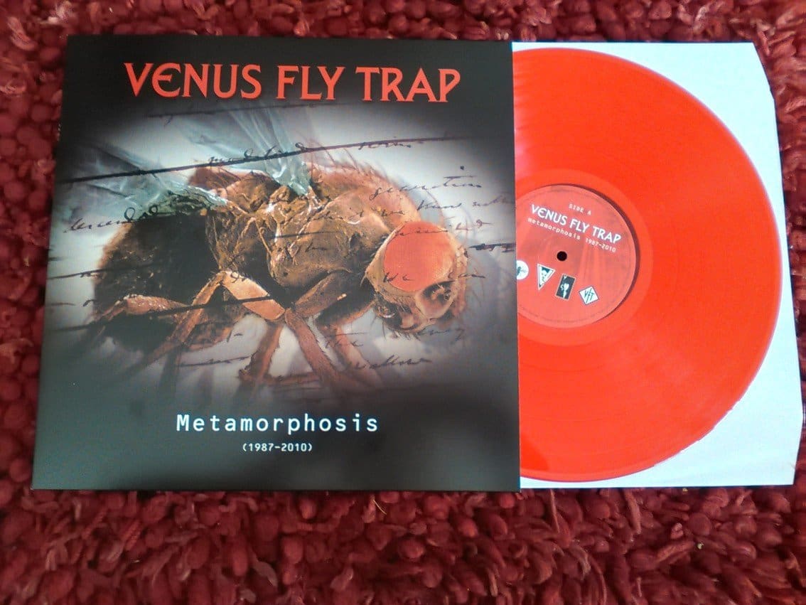 venus-fly-trap