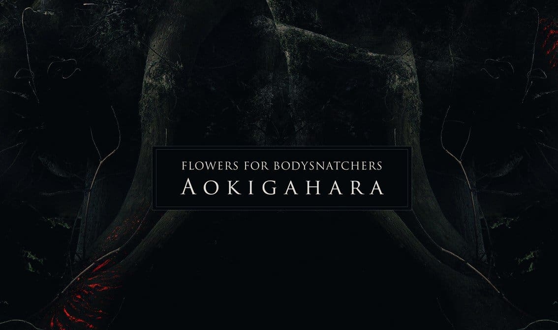 Aokigahara