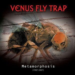 Venus Fly Trap