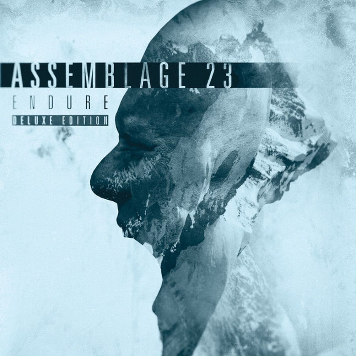 Assemblage 23-endure