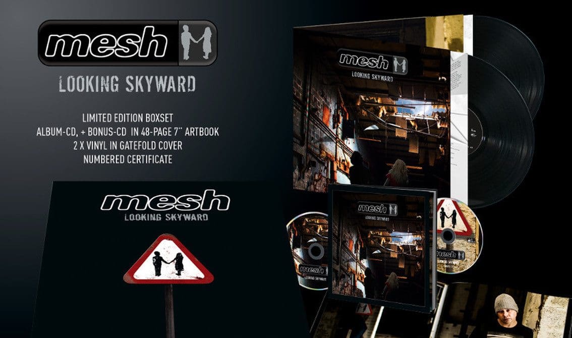 mesh-looking-skyward