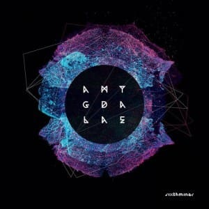 Sixth Minor – Amygdalae