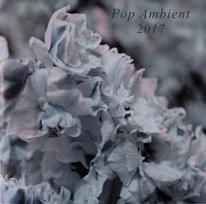 Pop Ambient 2017