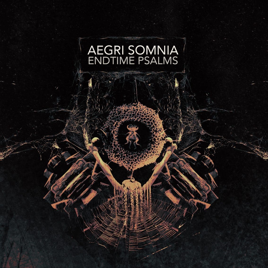 Aegri Somnia - Endtime Psalms