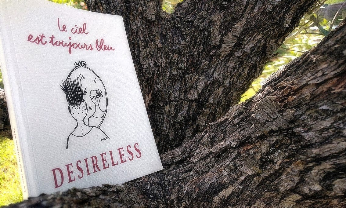 Desireless publishes first book: 'Le Ciel est toujours Bleu'