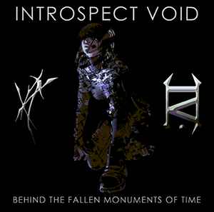 Introspect Void