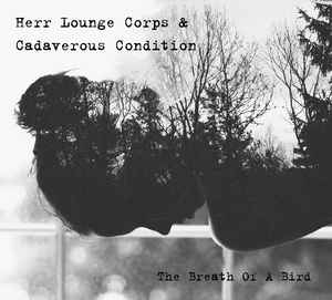 Herr Lounge Corps & Cadaverous Condition