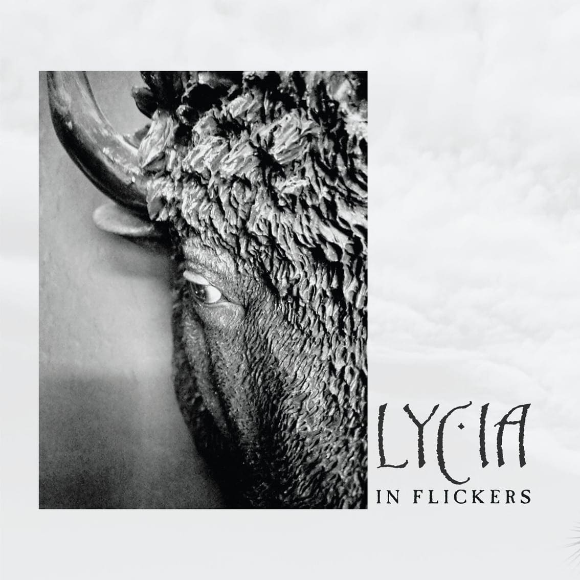 in flickers lycia