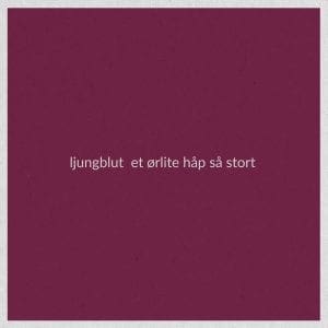 Ljungblut - Et ørlite håp så stort