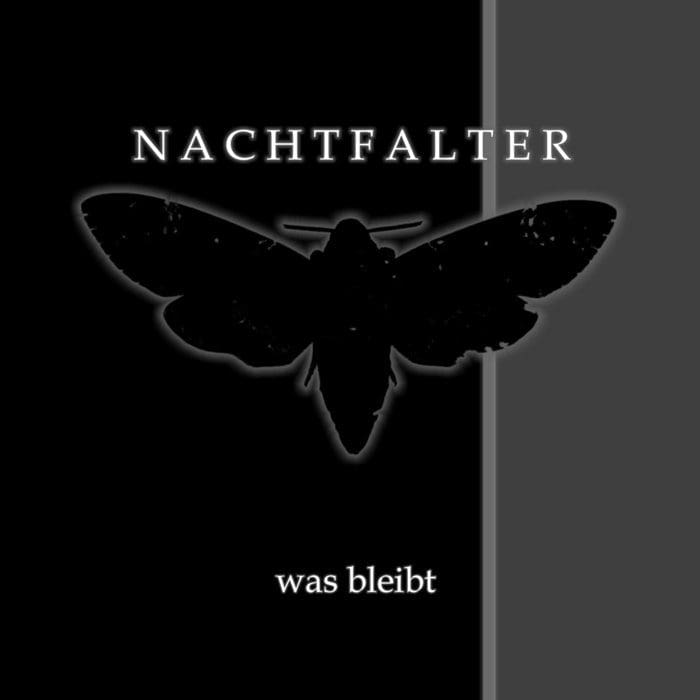 Nachtfalter