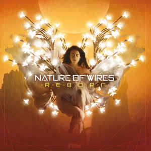 Nature of Wires