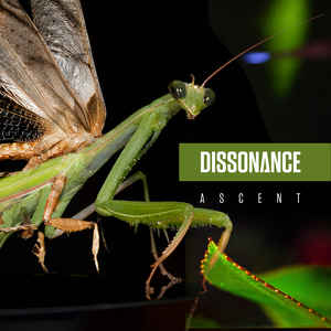 Dissonance