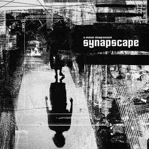 Synapscape