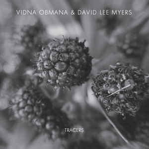 Vidna Obmana & David Lee Myers