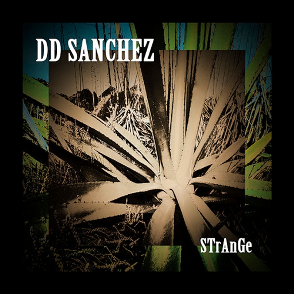 DD Sanchez