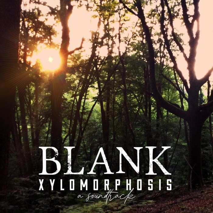 Blank-