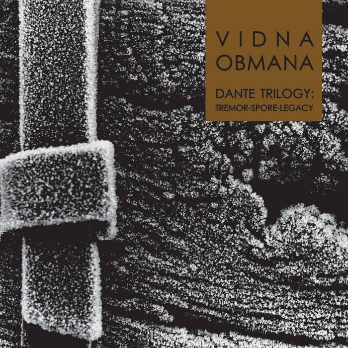 Vidna-Obmana