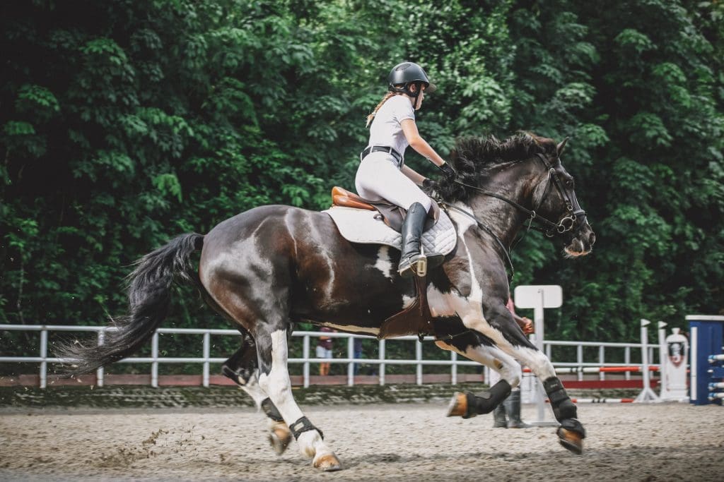 The Rhythmic Gallop: How Music Shapes the Atmosphere at Horse Racing Events