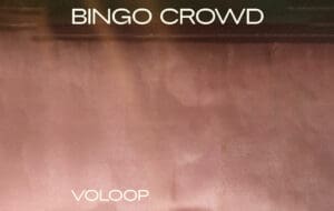 Bingo Crowd - Voloop