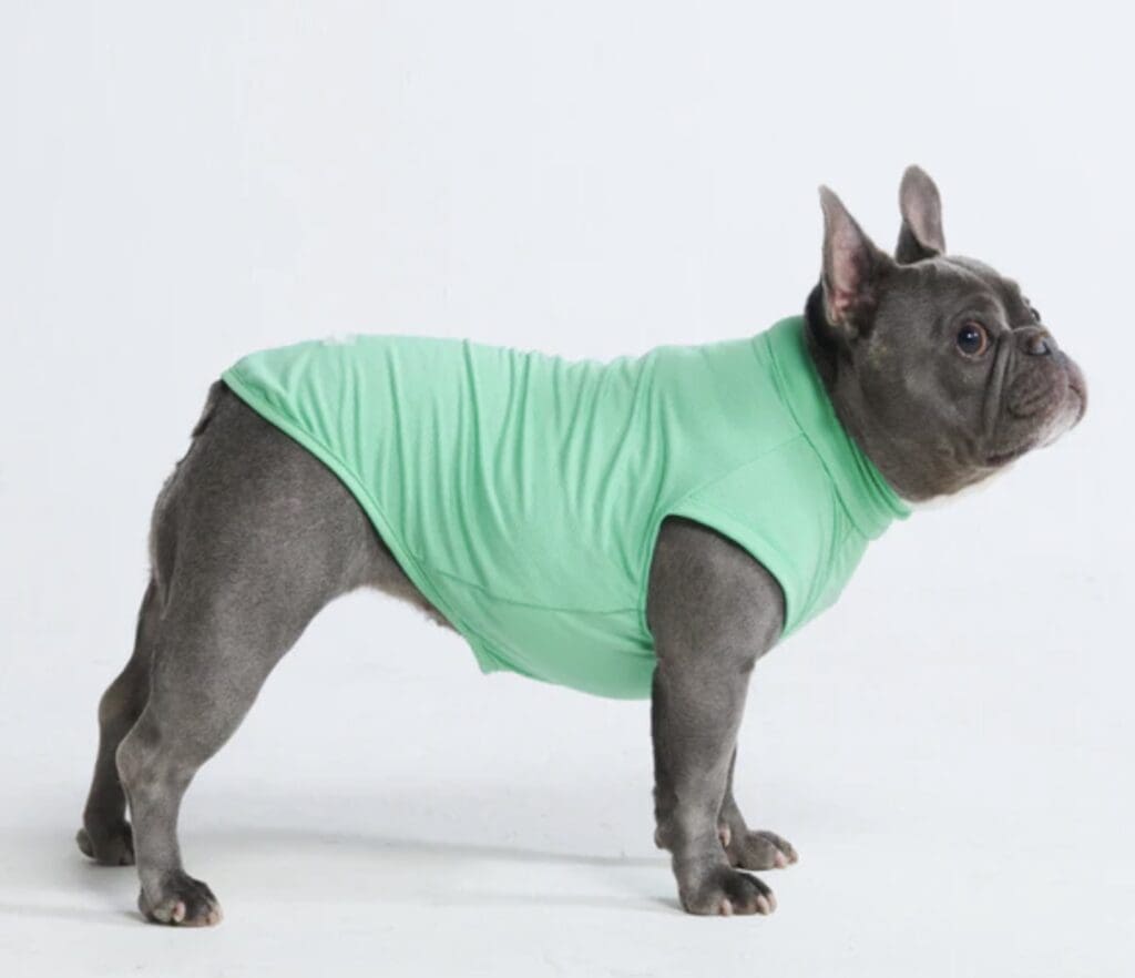 Keep Your Pup Comfy Year-Round: Cool Dog Clothes That Make a Difference
